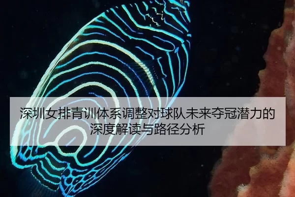 深圳女排青训体系调整对球队未来夺冠潜力的深度解读与路径分析